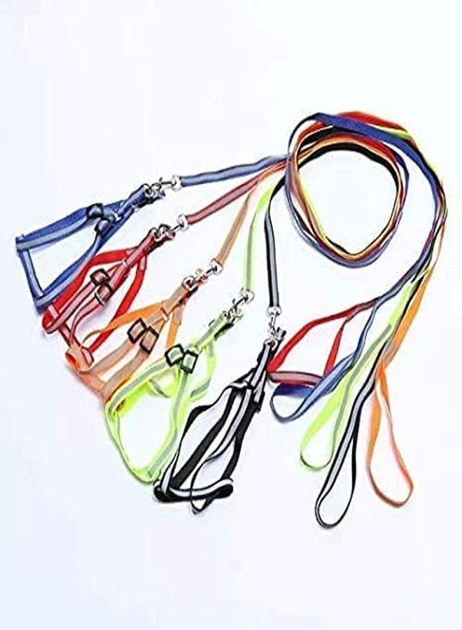 KittuPet Adjustable 15 mm Leash, Harness and Collar Set Reflective Nylon Puppy Harness for All Breeds Dogs, Cat and Puppies - (Color as per Availability) - Image 3